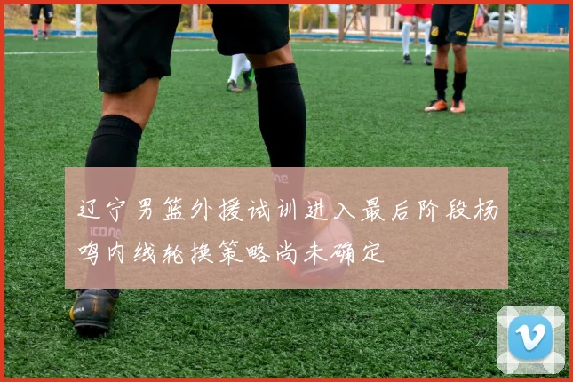 辽宁男篮外援试训进入最后阶段杨鸣内线轮换策略尚未确定