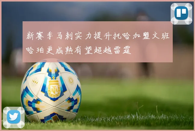 新赛季马刺实力提升托哈加盟文班哈珀更成熟有望超越雷霆